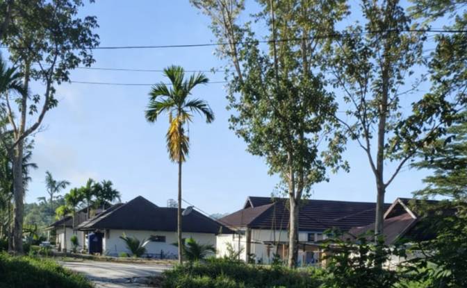 Land Lot for Sale Sipora Jaya. Photo#3