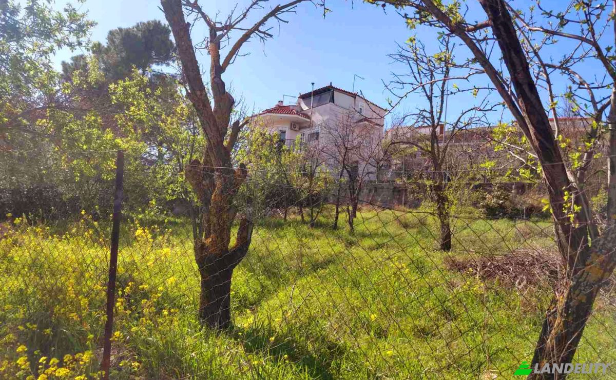 Land Lot for Sale Evvoias 20, Kalamos 190 14, Kalamos, Attica, Decentralized Administration of Attica, Greece. Photo 3