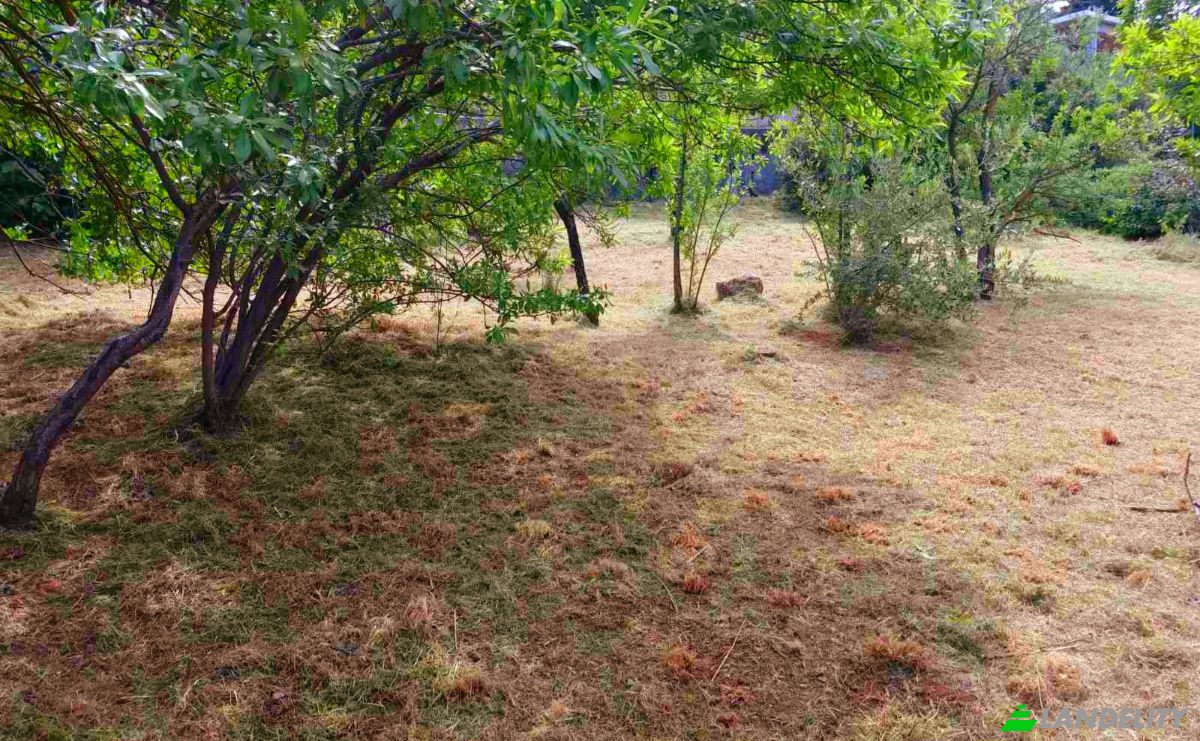 Land Lot for Sale Evvoias 20, Kalamos 190 14, Kalamos, Attica, Decentralized Administration of Attica, Greece. Photo 4