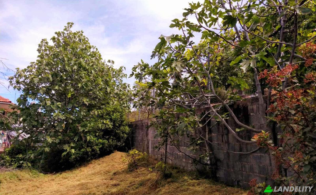 Land Lot for Sale Evvoias 20, Kalamos 190 14, Kalamos, Attica, Decentralized Administration of Attica, Greece. Photo 5