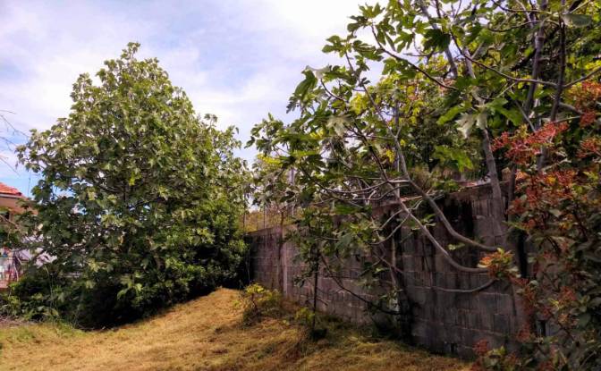 Land Lot for Sale Evvoias 20, Kalamos 190 14. Photo#5