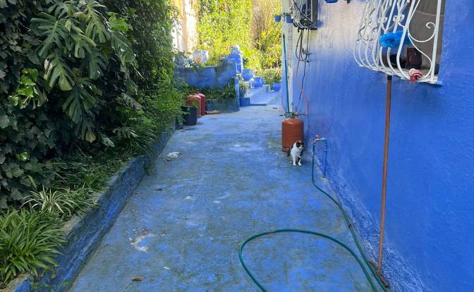 Single Family Home for Sale Chefchaouen. Photo#3
