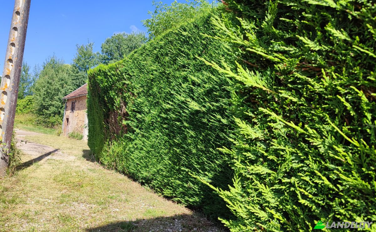 Villa for Sale 520 La Maison Rouge, 89520 Treigny-Perreuse-Sainte-Colombe, Treigny-Perreuse-Sainte-Colombe, Yonne, Bourgogne-Franche-Comte, France. Photo 13