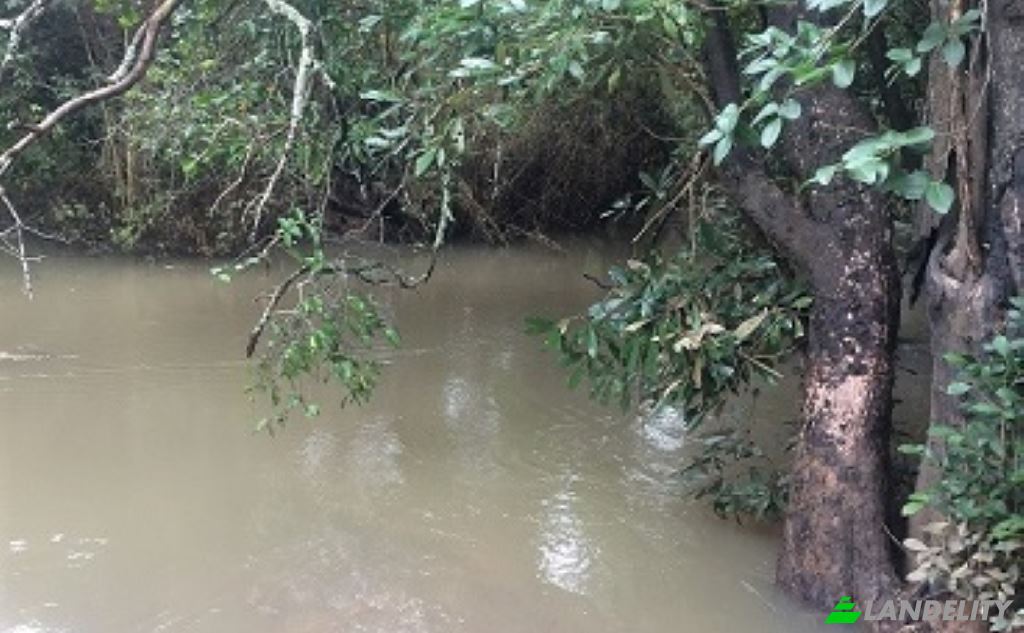 Land/Lot for Sale Saulo, Kapiri Mposhi, Central Province, Zambia. Photo 8