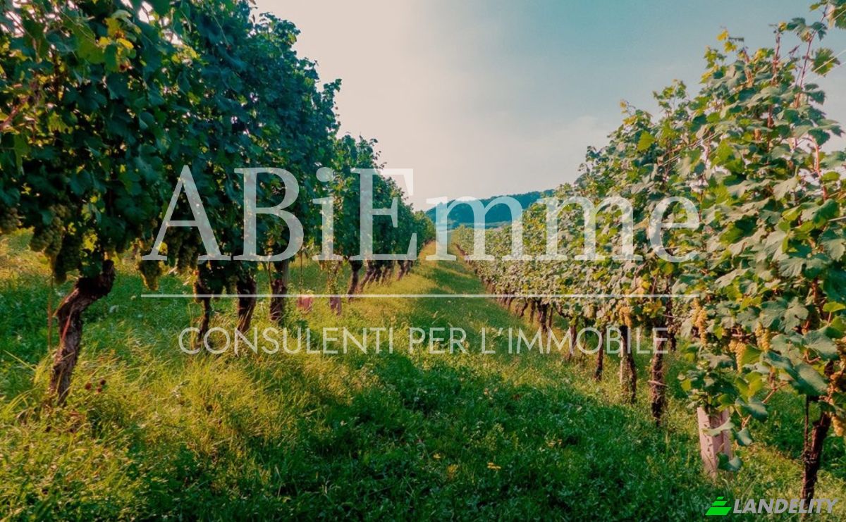 Land Lot for Sale Strada Comunale Aive, 14055 Costigliole dAsti AT, Costigliole dAsti, Province of Asti, Piedmont, Italy. Photo 1