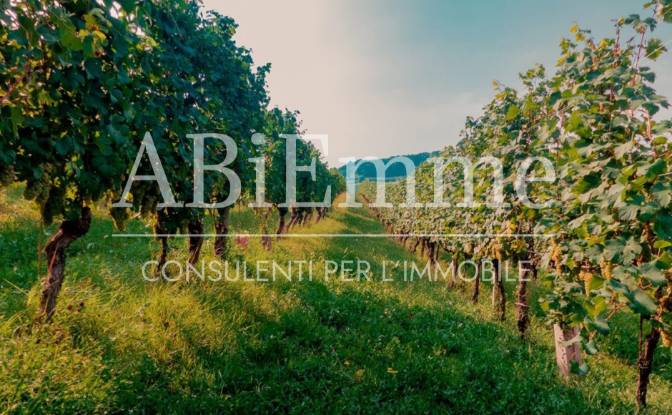 Land Lot for Sale - Costigliole d'Asti, Italy