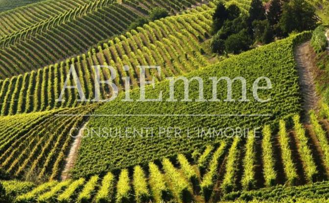 Land Lot for Sale Strada Comunale Aive. Photo#3