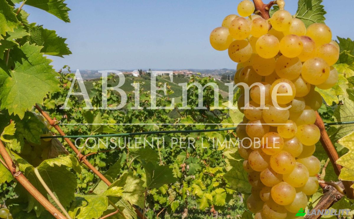 Land Lot for Sale Strada Comunale Aive, 14055 Costigliole dAsti AT, Costigliole dAsti, Province of Asti, Piedmont, Italy. Photo 4