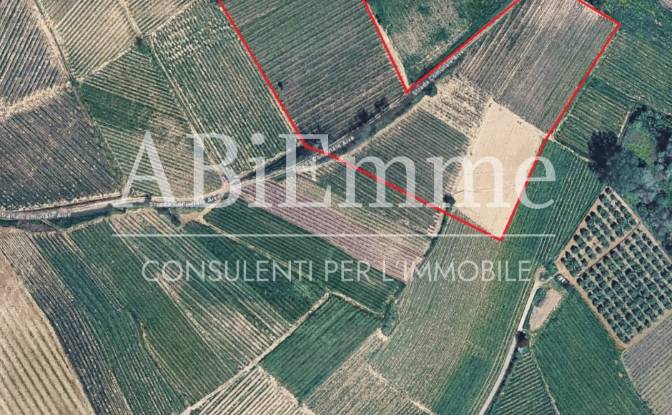 Land Lot for Sale Strada Comunale Aive. Photo#6
