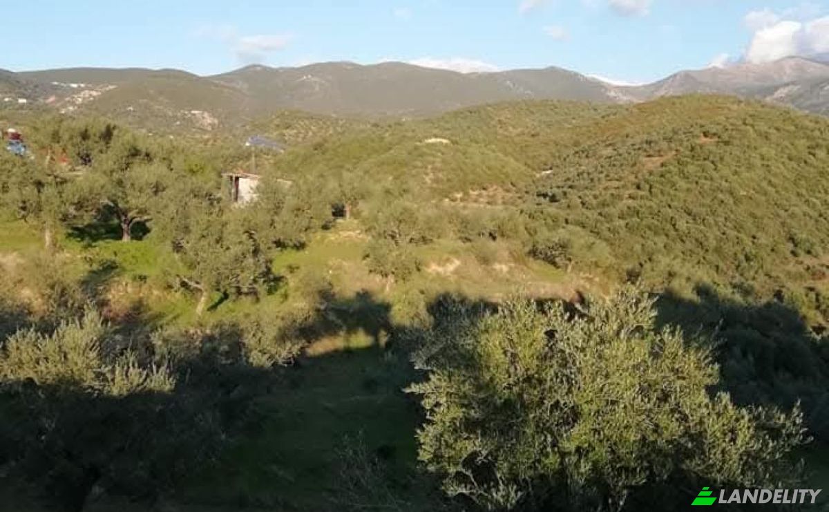 Land Lot for Sale Odos Hvris Onomasia, Kalamata 241 00, Kalamata, Peloponnese Region, Decentralized Administration of Peloponnese, Western Greece and the Ionian, Greece. Photo 1