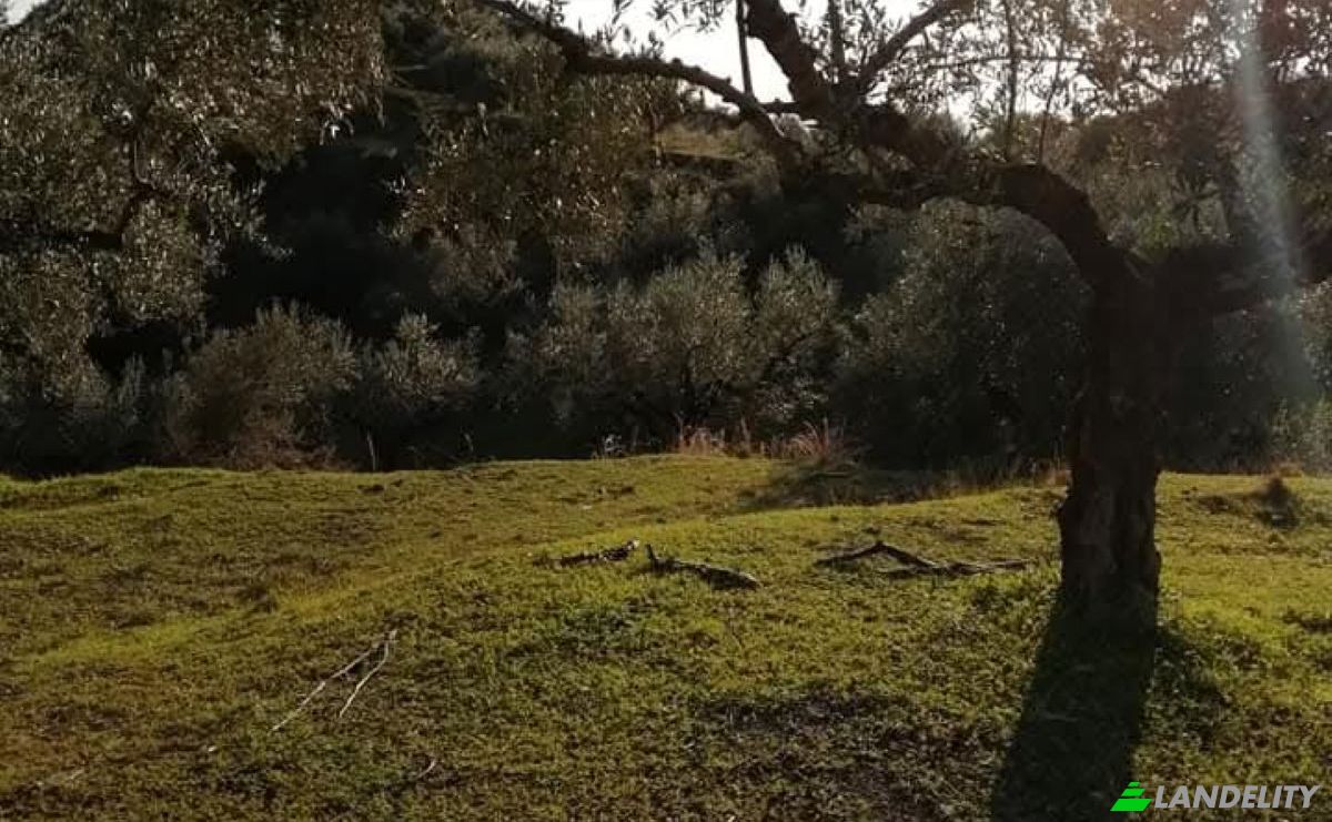 Land Lot for Sale Odos Hvris Onomasia, Kalamata 241 00, Kalamata, Peloponnese Region, Decentralized Administration of Peloponnese, Western Greece and the Ionian, Greece. Photo 2