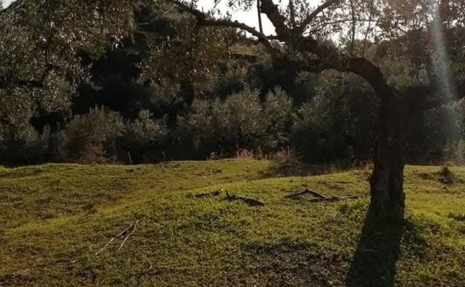 Land Lot for Sale Odos Hvris Onomasia. Photo#2