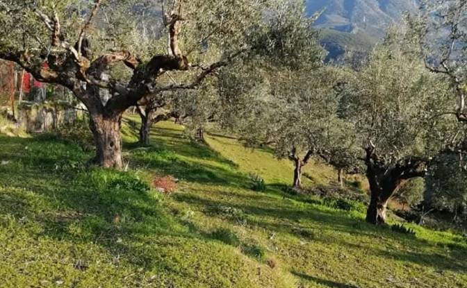 Land Lot for Sale Odos Hvris Onomasia. Photo#3