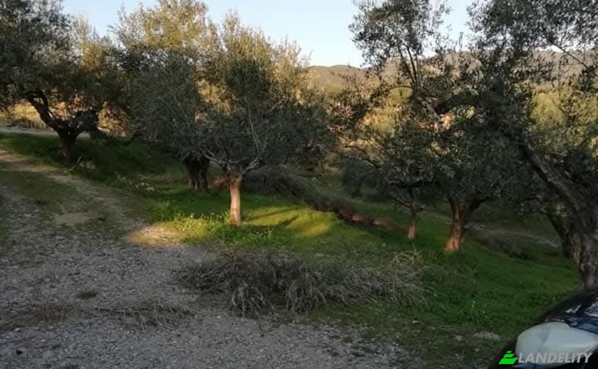 Land Lot for Sale Odos Hvris Onomasia, Kalamata 241 00, Kalamata, Peloponnese Region, Decentralized Administration of Peloponnese, Western Greece and the Ionian, Greece. Photo 4