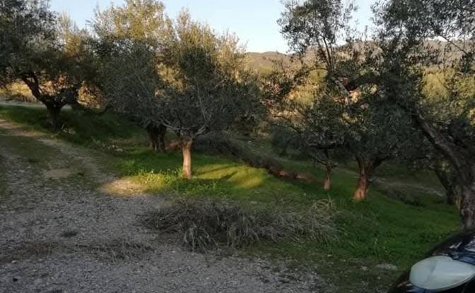 Land Lot for Sale Odos Hvris Onomasia. Photo#4