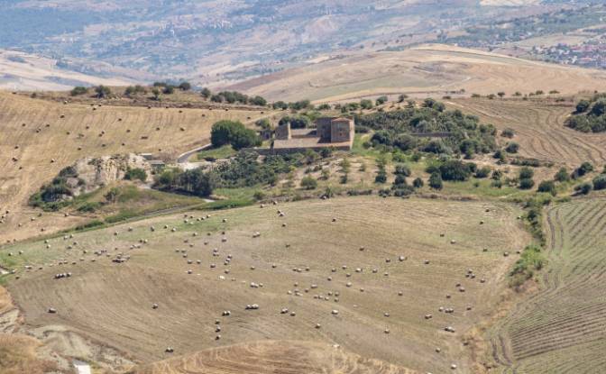 Farm/Ranch for Sale Strada Senza Nome. Photo#2