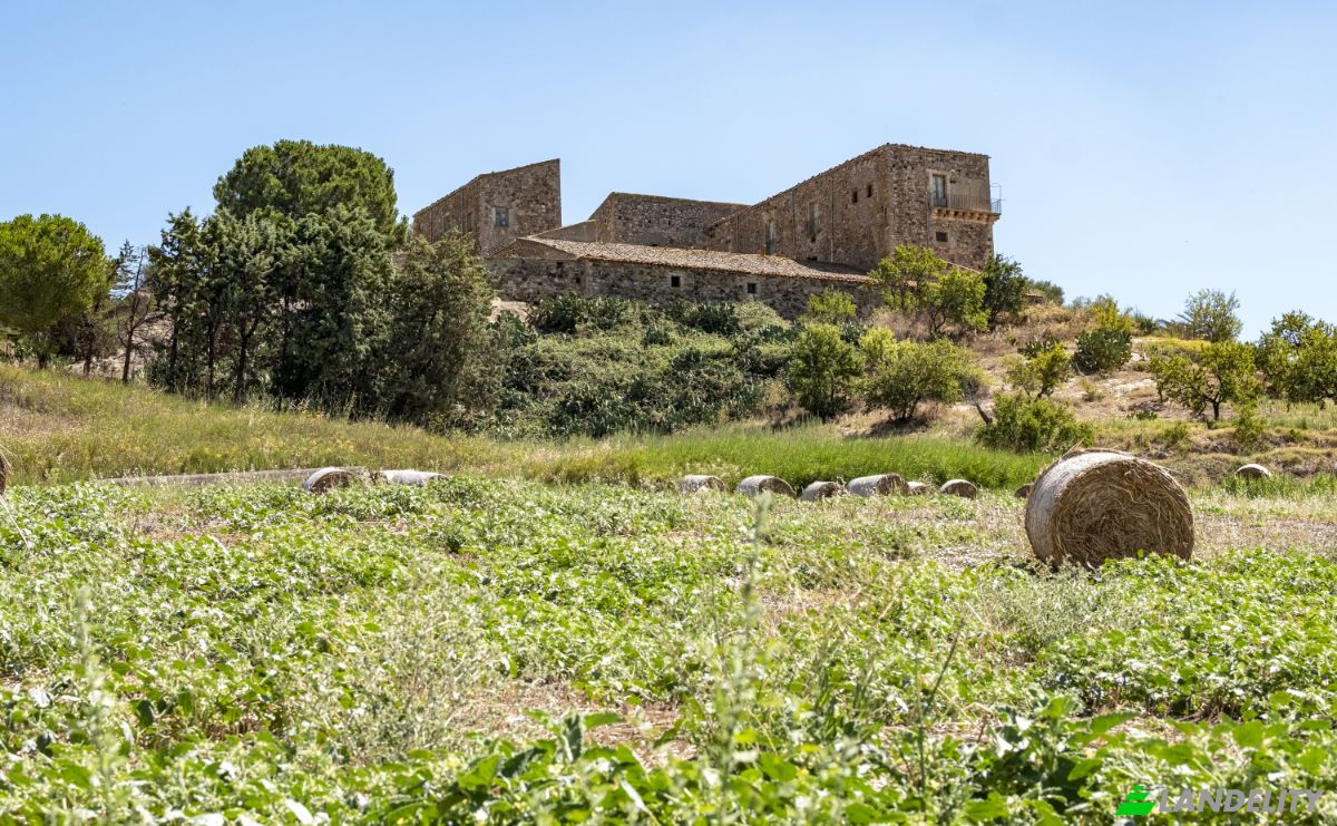 Farm/Ranch for Sale Strada Senza Nome, 90027 Petralia Sottana PA, Petralia Sottana, Metropolitan City of Palermo, Sicily, Italy. Photo 3