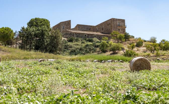 Farm/Ranch for Sale Strada Senza Nome. Photo#3