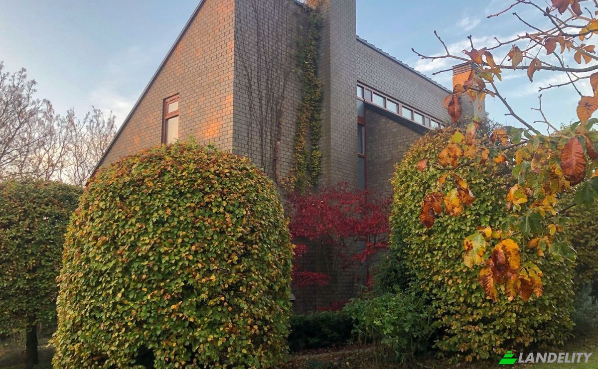 Mansion for Sale Doolhof 9, 1792 CM Oudeschild, Oudeschild, Texel, North Holland, Netherlands. Photo 2