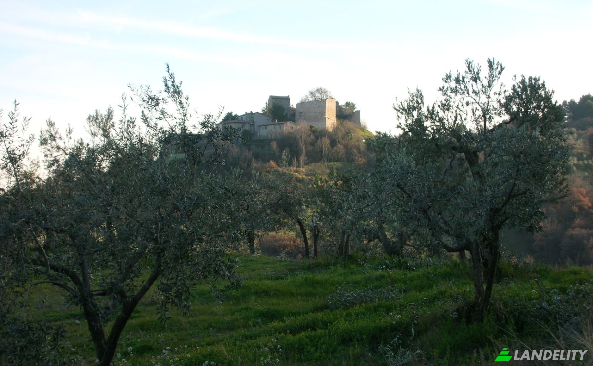 Castle for Sale Localita Casa Maggi, 06030 Giano dellUmbria PG, Giano dellUmbria, Province of Perugia, Umbria, Italy. Photo 13