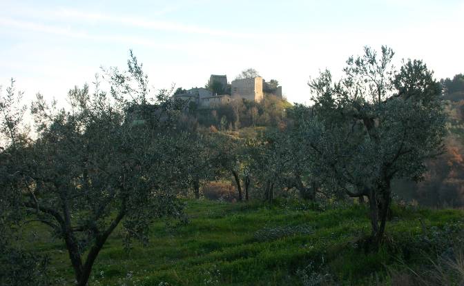 Castle for Sale Localita Casa Maggi. Photo#13