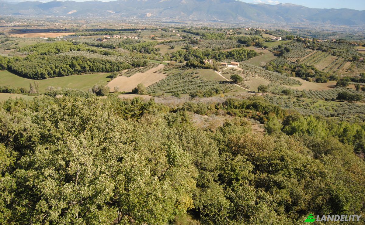 Castle for Sale Localita Casa Maggi, 06030 Giano dellUmbria PG, Giano dellUmbria, Province of Perugia, Umbria, Italy. Photo 15