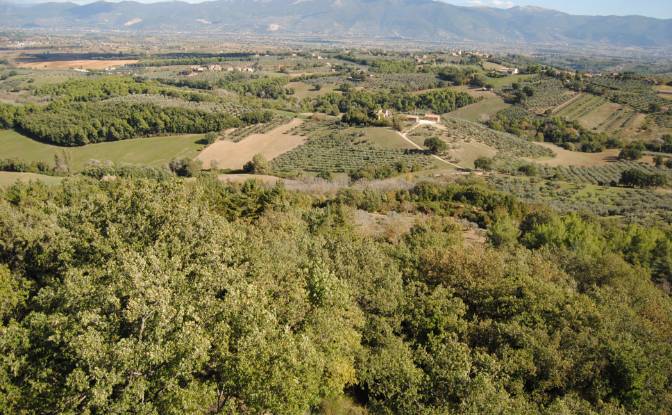 Castle for Sale Localita Casa Maggi. Photo#15