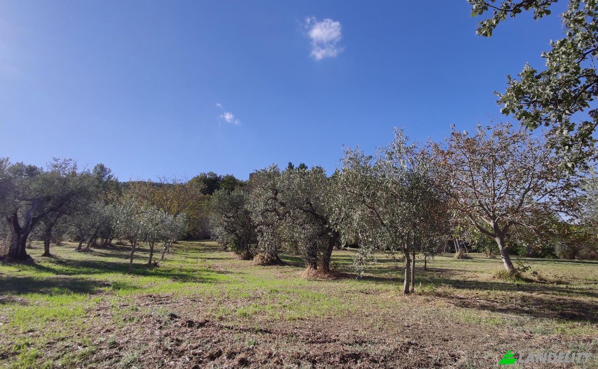 Castle for Sale Localita Casa Maggi, 06030 Giano dellUmbria PG, Giano dellUmbria, Province of Perugia, Umbria, Italy. Photo 16