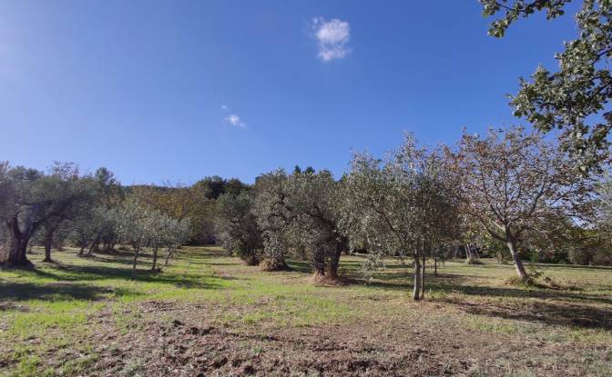 Castle for Sale Localita Casa Maggi. Photo#16