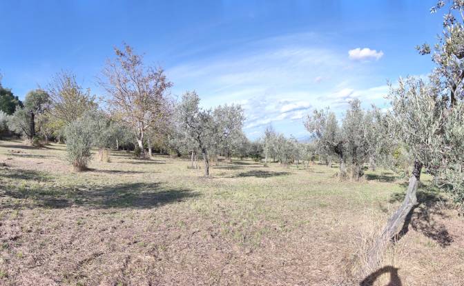 Castle for Sale Localita Casa Maggi. Photo#17