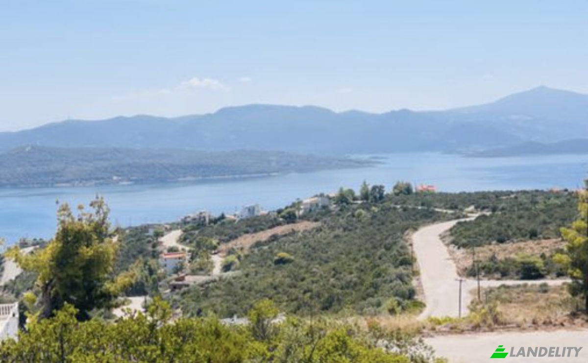 Land Lot for Sale Theologos 350 01, Malesina, Central Greece, Decentralized Administration of Thessaly and Central Greece, Greece. Photo 2