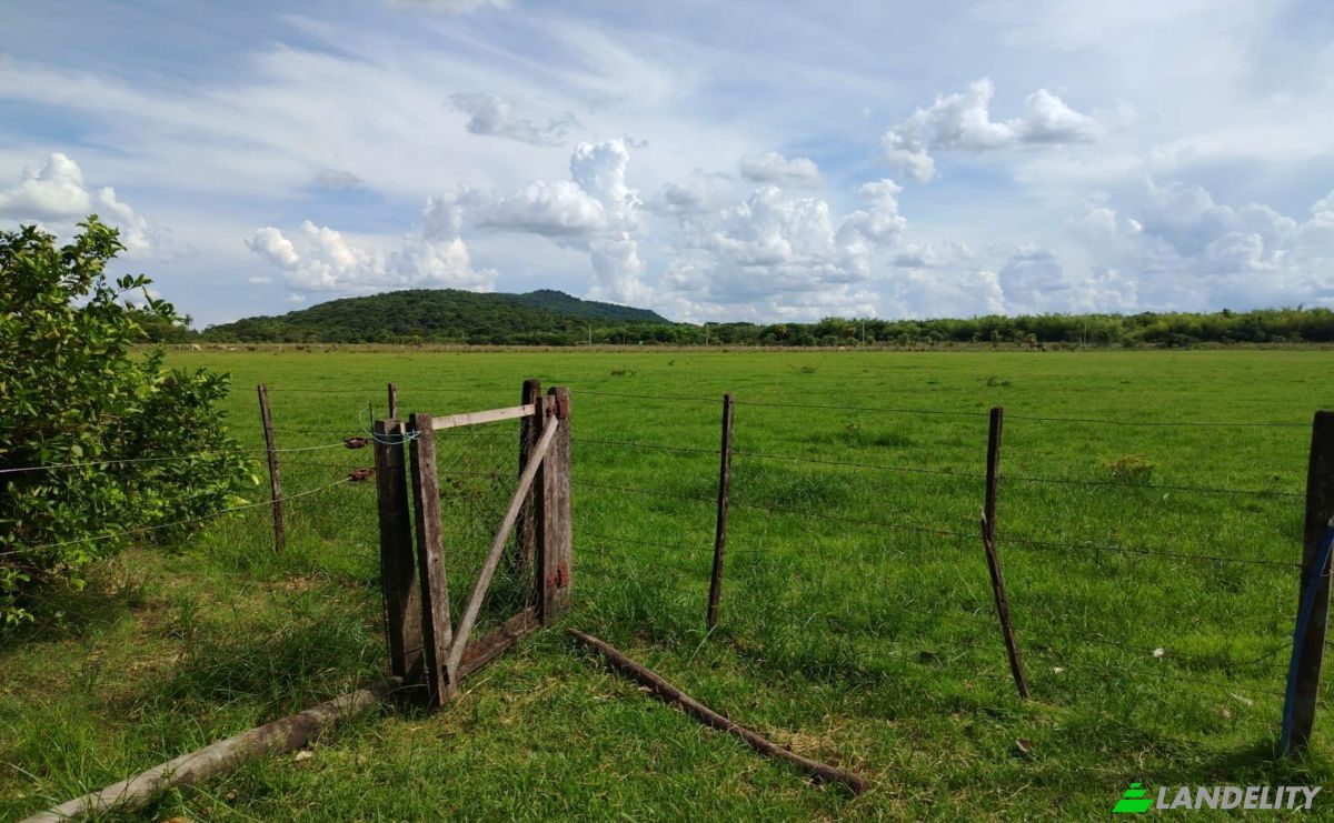 Investing/Development for Sale Via Sin Nombre, Lourdes 080604, Lourdes, Santa Maria, Misiones Department, Paraguay. Photo 7