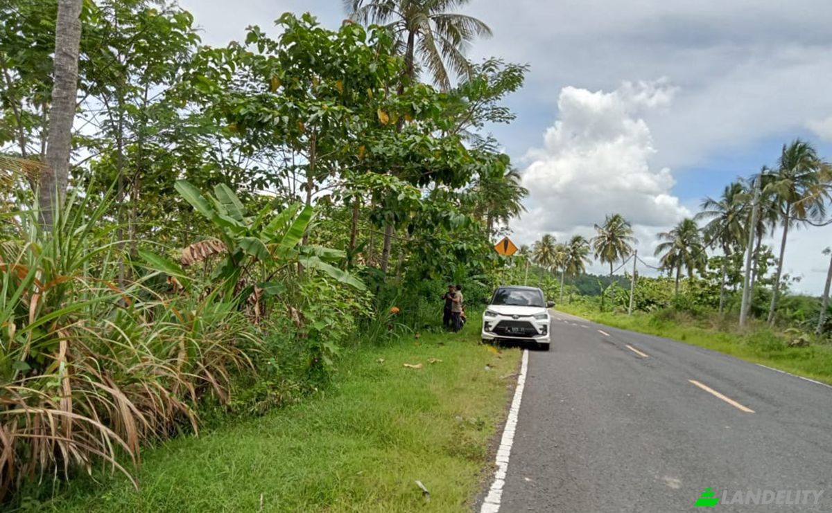 Land Lot for Sale Sirnagalih, Sindangbarang, Talagasari, Cianjur Regency, West Java, Indonesia, West Java 43272. Photo 3