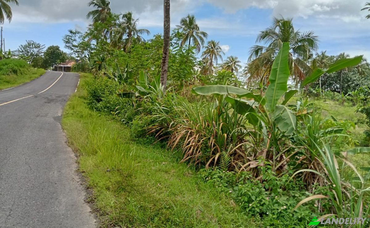 Land Lot for Sale Sirnagalih, Sindangbarang, Talagasari, Cianjur Regency, West Java, Indonesia, West Java 43272. Photo 4