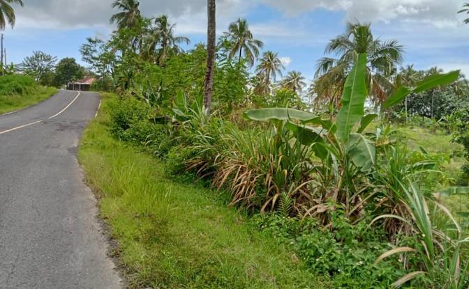 Land Lot for Sale Sirnagalih, Sindangbarang. Photo#4