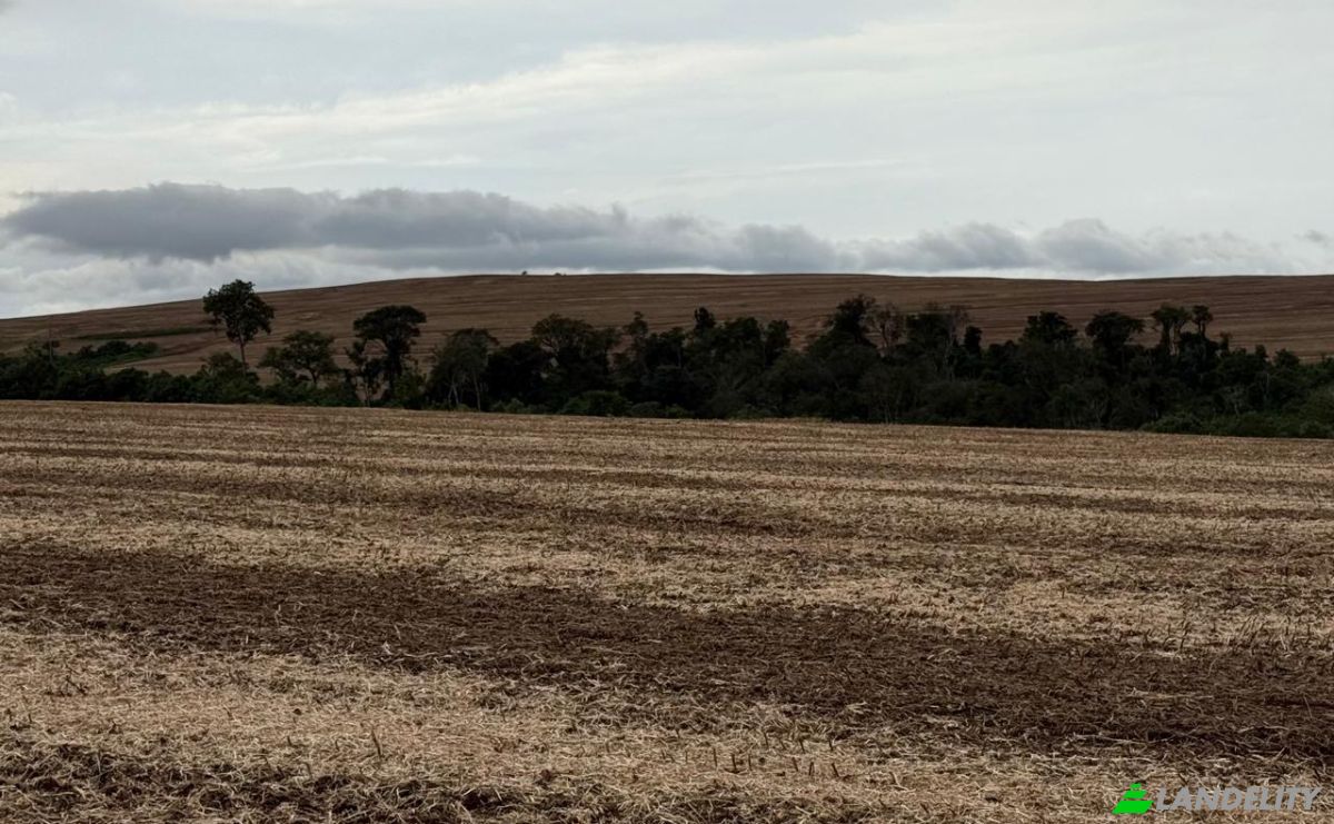 Farm/Ranch for Sale PY10, Linea Kunatai, Abai, Caazapa Department, Paraguay. Photo 3