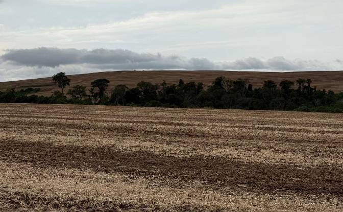 Farm/Ranch for Sale PY10, Linea Kunatai, Abai. Photo#3 Farm/Ranch for Sale PY10, Linea Kunatai, Abai. Photo#3