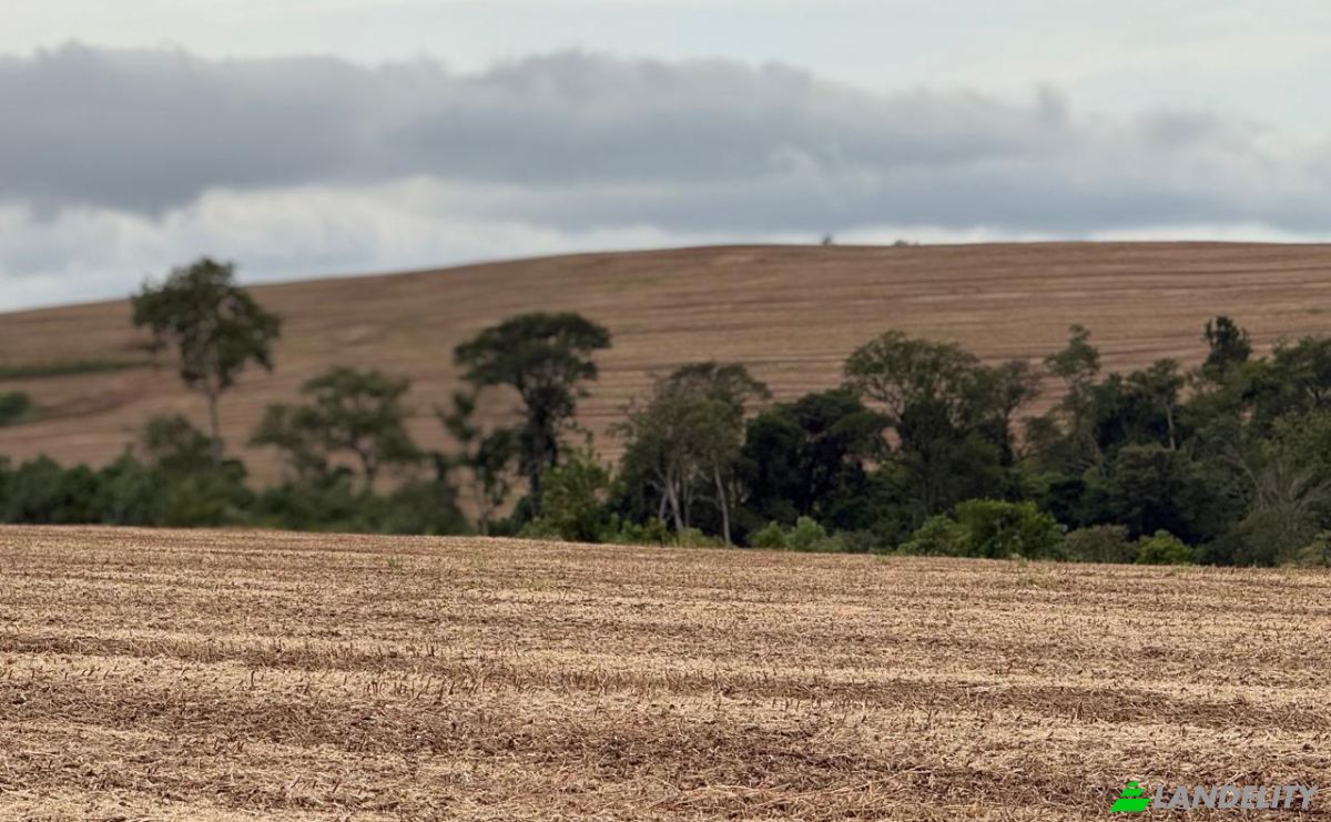 Farm/Ranch for Sale PY10, Linea Kunatai, Abai, Caazapa Department, Paraguay. Photo 5