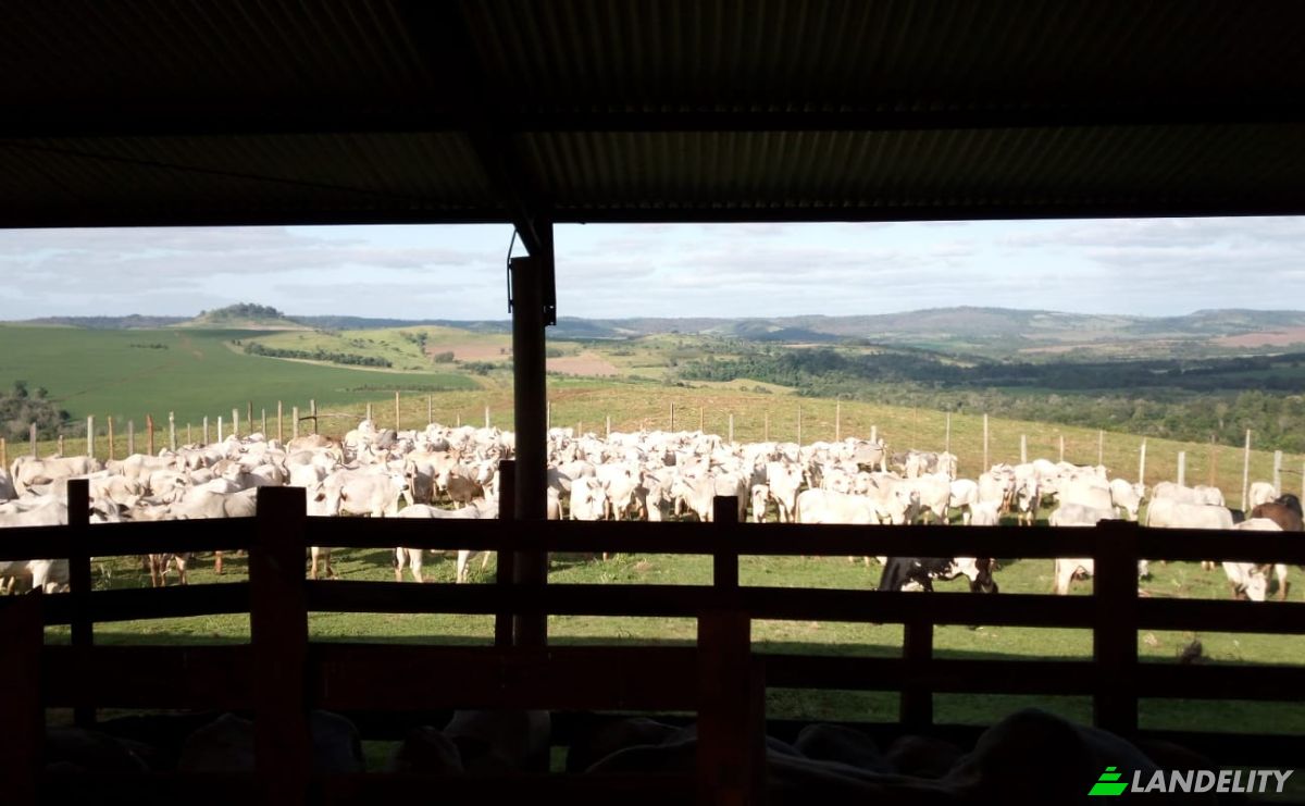 Farm/Ranch for Sale PY10, Linea Kunatai, Abai, Caazapa Department, Paraguay. Photo 1
