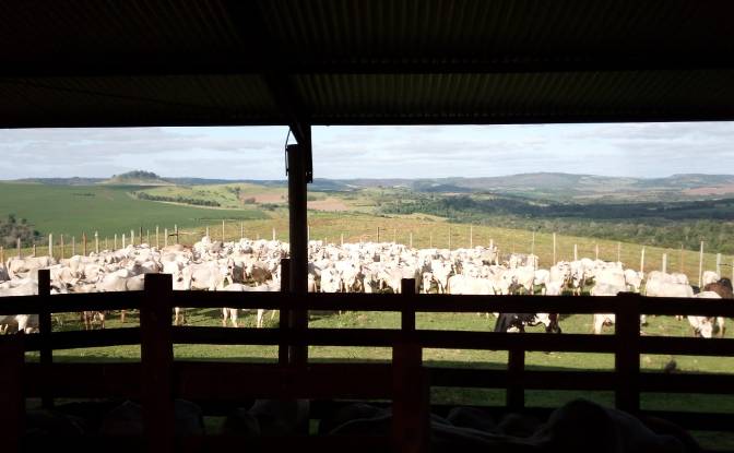 Fattoria/Ranch in vendita - Linea Kunatai, Paraguay