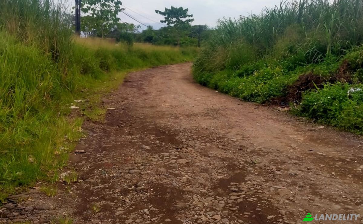 Land Lot for Sale Sayang, Cianjur Regency, West Java, Indonesia, Cianjur, West Java 43213. Photo 5