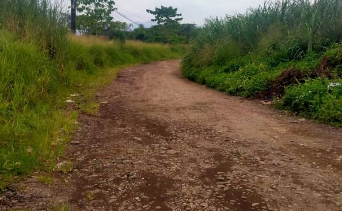 Land Lot for Sale Sayang, Cianjur Regency. Photo#5