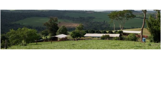 Farm/Ranch for Sale PY10, Linea Kunatai, Abai. Photo#6 Farm/Ranch for Sale PY10, Linea Kunatai, Abai. Photo#6