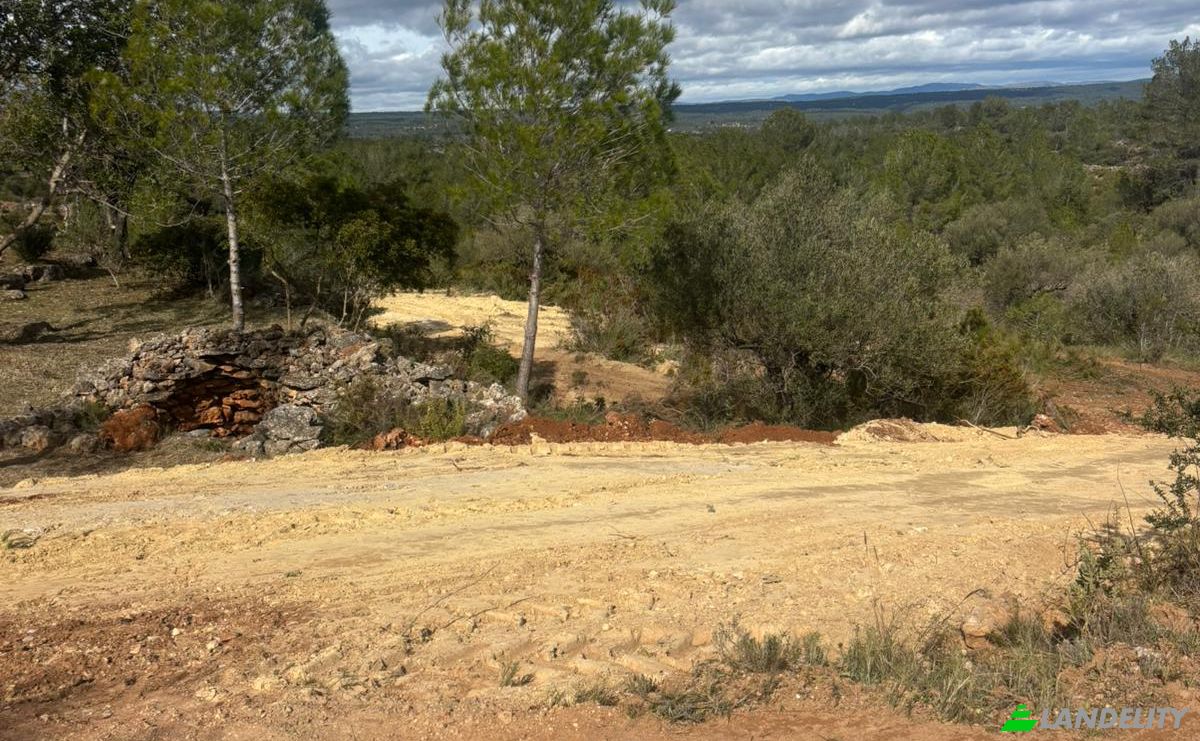 Land Lot for Sale Placa Poligono, Chella, Valencia, Valencian Community, Spain. Photo 2