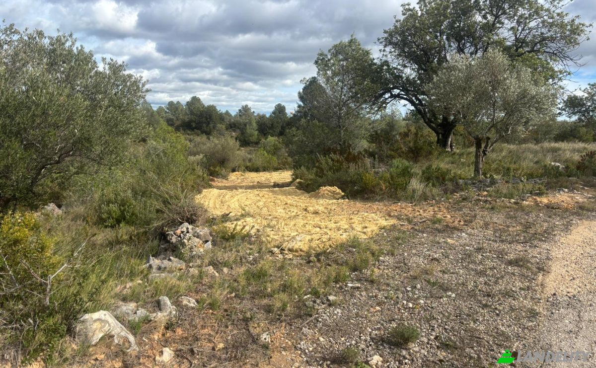 Land Lot for Sale Placa Poligono, Chella, Valencia, Valencian Community, Spain. Photo 5