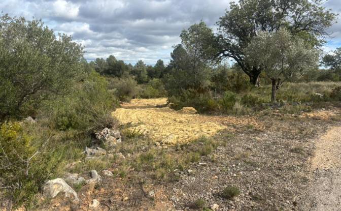 Land Lot for Sale Placa Poligono, Chella, Valencia. Photo#5