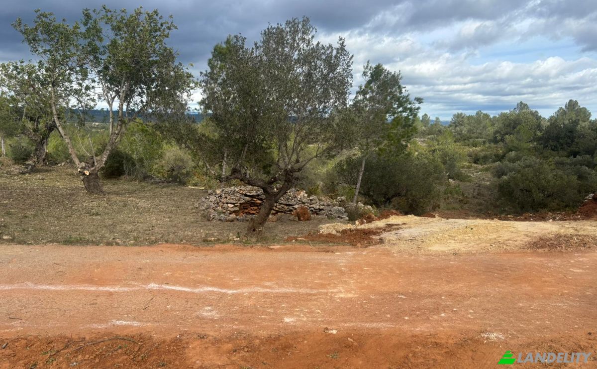 Land Lot for Sale Placa Poligono, Chella, Valencia, Valencian Community, Spain. Photo 6