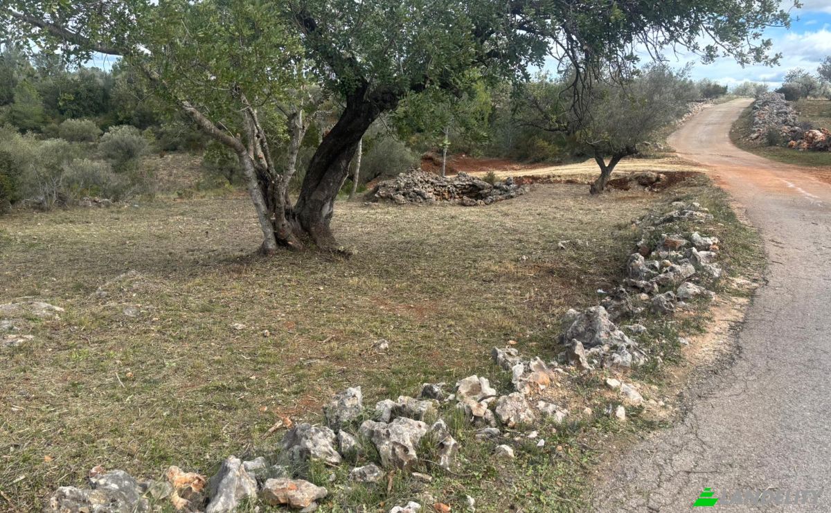 Land Lot for Sale Placa Poligono, Chella, Valencia, Valencian Community, Spain. Photo 1