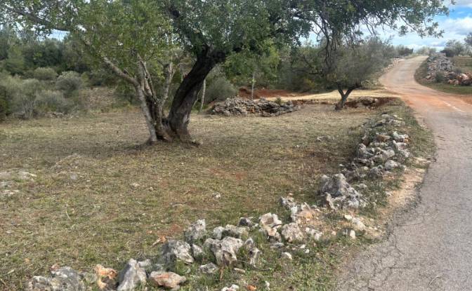 Land Lot for Sale - Chella, Spain