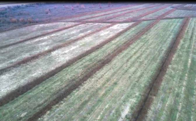 Lote de terreno En renta Abasha-Gaghma. Foto#2